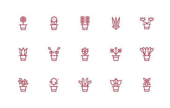 regular línea estilo planta de casa íconos con 15 vectores equilibrado icono conjunto para funcional diseño