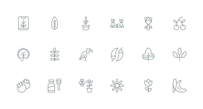 Minimal Line Icons from Organic Set with 18 Vectors Customizable Icon Series for Mobile Screens
