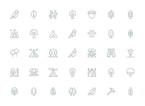 Light Line Icons from Forest Set with 35 Vectors High-Resolution Icons for Any Platform