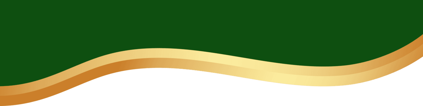 confine forma per bandiera design. verde intestazione sezione con d'oro linea. astratto parte inferiore sfondo per ragnatela pagina. curvo divisore modello ondulato orizzontale separatore. png