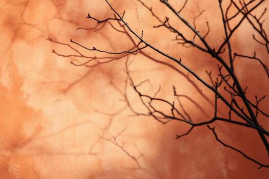 A sizeable tree branch is casting a long shadow upon a wall photo