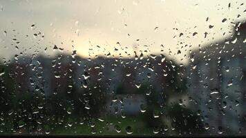 regndroppar sipprar ner en fönster ruta, suddighet de se av byggnader och träd i de bakgrund video