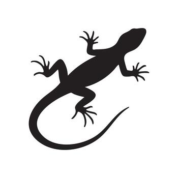 Silhouette of a Lizard An Illustration of a Reptile with Pointed Claws Curled Tail and Scaly Skin vector