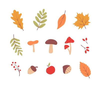 Set autumn leaves of trees, illustration of autumn elements. Fall background. Flat style. vector