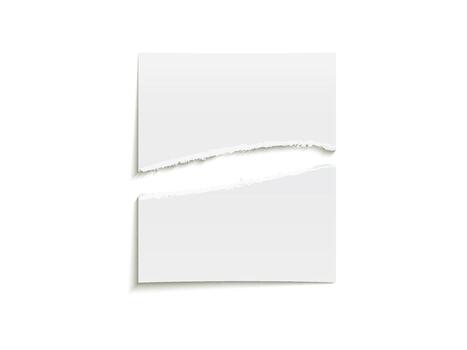 Torn white paper background image vector