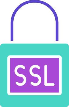 Ssl two color icon security lock certificate vector