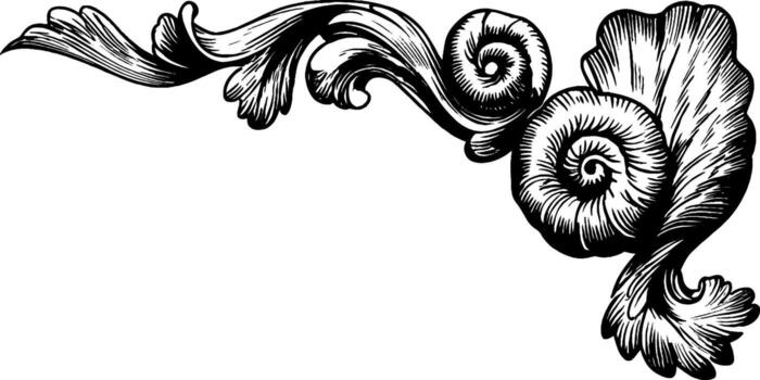 An ornate design with a scroll and a scroll vector