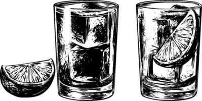 un dibujo de dos lentes con limón rebanadas vector