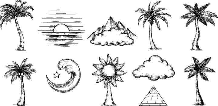 A set of hand drawn palm trees and clouds vector