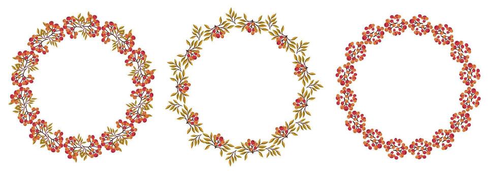 Set of round frames made of red berries and rowan branches with and without leaves. Perfect autumn decoration for seasonal design projects. vector