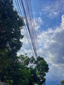A vibrant image showcasing a lush green tree canopy contrasted against a bright, cloudy sky, with a network of power lines running overhead. photo