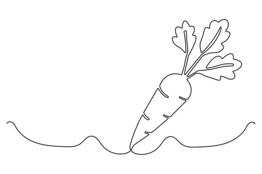 Minimal style carrot continuous one line drawing isolated outline artwork vector