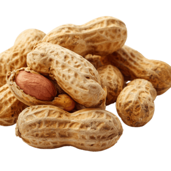 Peanuts with shells are displayed against on transparent background. png