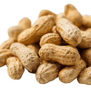 Peanuts in their shells are piled together, displaying a rough, textured surface in a light tan color on transparent background png