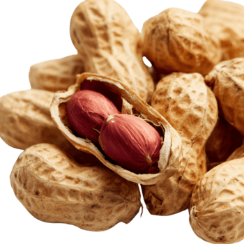 Peanuts are displayed in their shells on transparent background png