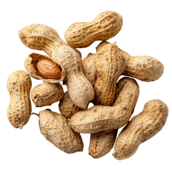 Peanuts in shells are piled together, displaying a rough, textured surface in a light tan color on transparent background. png