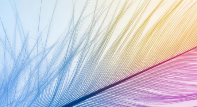 An abstract view looking up through a translucent, iridescent material with folds and creases, creating a colorful light effect background. photo