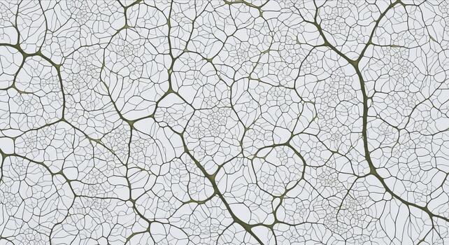 A top-down aerial view captures the intricate white texture of dry, cracked earth, creating a stark abstract pattern of drought and environmental change on barren ground. photo