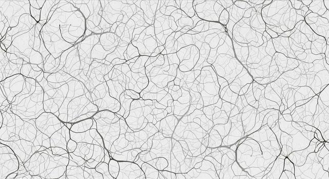 a white background with a lot of lines photo