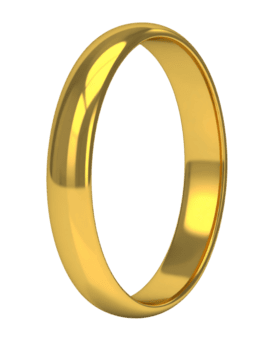 criando uma dourado anel com transparente fundo 3d modelagem tutorial para iniciantes, passo a passo guia. png