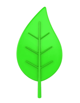 Create a Vibrant Green Leaf Icon with Transparent Background using 3D Modeling Software png