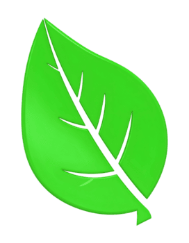 creare un' 3d verde foglia con trasparente sfondo utilizzando miscelatore png