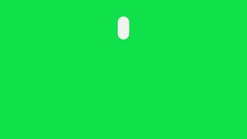 Seamless Loading Circle Line Icon Animation. Green Screen Loop video