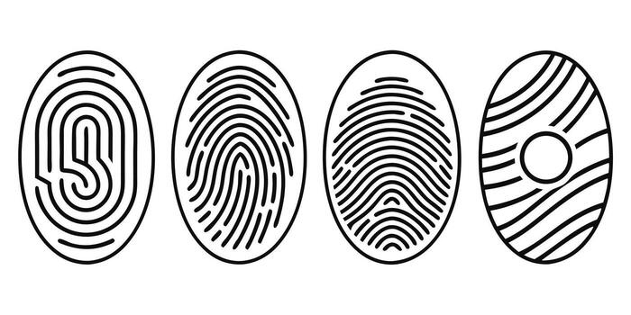 Four black outline fingerprint icons with different patterns on white background symbol identity vector