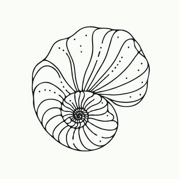 Outline Black And White Line Drawing Of seashell. Hand Drawn Doodle Snails and Shells Illustrations. Hand drawn abstract nautilus shell illustration isolated on white background. vector