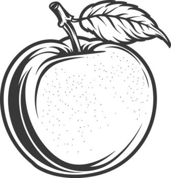 An apple with a leaf on it is shown in black and white vector