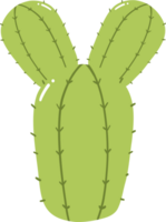 groen tekenfilm cactus met twee armen geïsoleerd Aan transparant achtergrond png