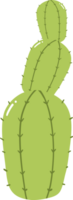 groen cactus fabriek illustratie Aan transparant achtergrond png