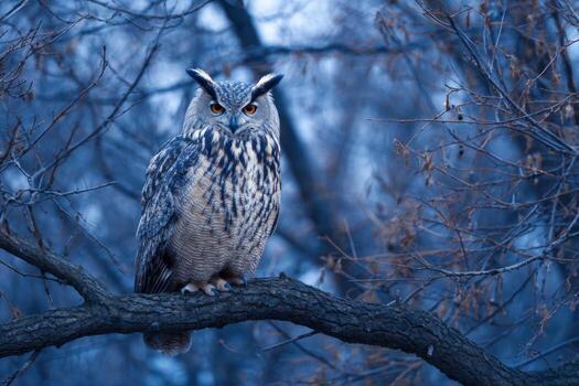 A striking owl with bright orange eyes sits on a tree branch surrounded by leafless trees in a serene winter forest at dusk, showcasing its beautiful plumage photo