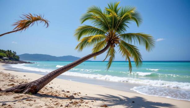 coconut palm tree with curved trunk, leaning far across soft shoreline touched by blue surf. photo
