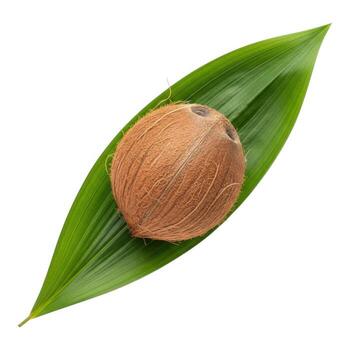 Coconut on a leaf isolated on white background photo