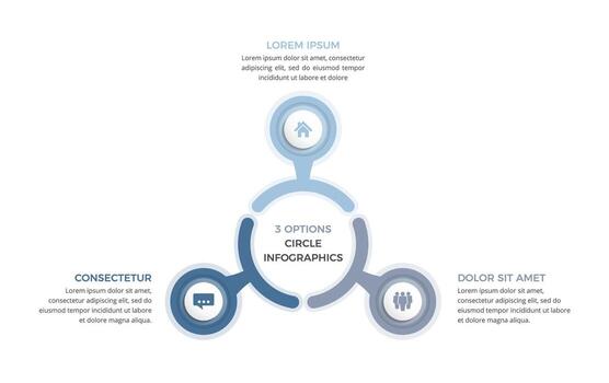 Circle diagram with three steps or options, infographic template vector