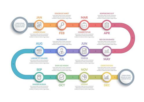 Timeline infographic template with 12 months with curved line vector
