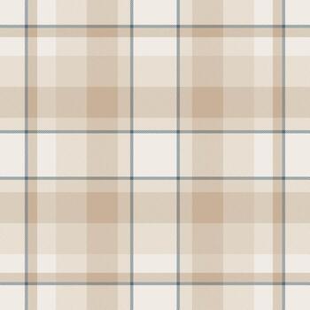 elegante tartán modelo con neutral tonos, Perfecto para antecedentes, textiles, o gráfico diseños transporte calor y clásico estilo. versátil sofisticado. vector