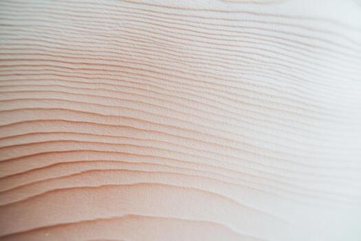 Textured wood surface showing natural grain patterns and lines photo