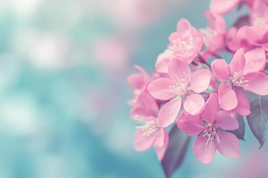 rosado flores floración en ramas en suave primavera luz de sol creando un sereno escena foto