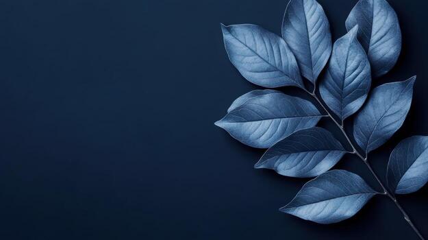 Leaves in dark blue background create a calming and minimalist composition photo