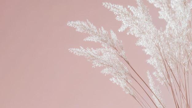 Elegant dried grass against a soft pink backdrop creates a serene vibe photo