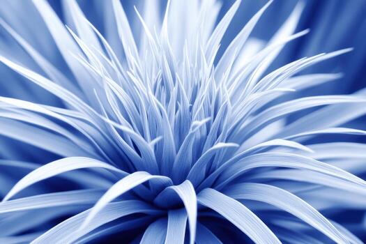 Unique blue plant close-up showcasing intricate leaf patterns and textures photo