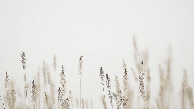 Grass swaying gently in the breeze under a clear sky during daytime photo