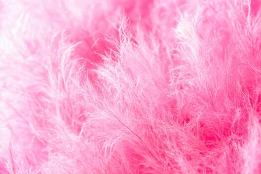 Bright pink feathers create a soft texture in a vibrant scene filled with color photo
