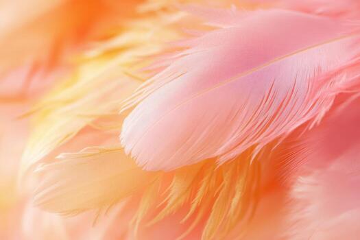 Soft pink feathers creating a gentle and delicate texture photo