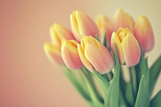 Soft pastel tulips arranged in a simple bouquet on a light background photo
