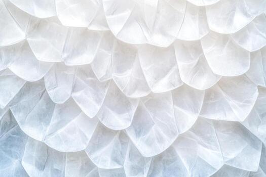 Close-up view of translucent white plastic pieces arranged in a layered pattern photo