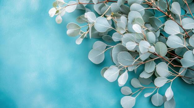 Eucalyptus leaves resting on a blue background for a calming effect photo