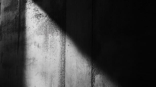 Light and shadow create a striking contrast on a concrete wall photo